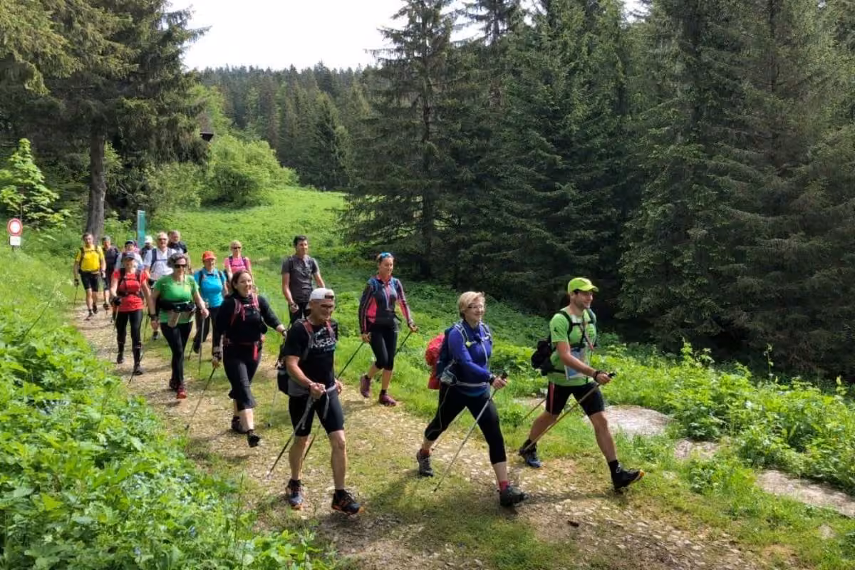 Groupe de marche nordique en mouvement sur un chemin forestier avec Sport I Can