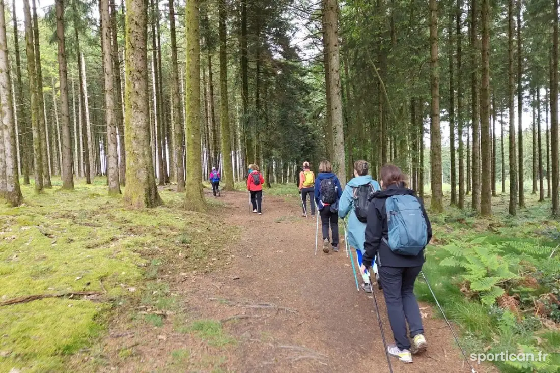 Groupe de marcheurs sur un chemin en forêt
